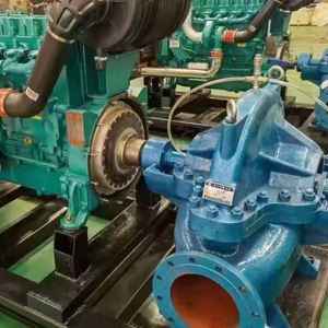 High-Efficiency Energy-Saving Diesel Engine Double Suction Pump Customized OEM Support for Wastewater Handling - Product Image 5