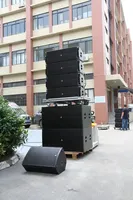 Altavoz de arreglo lineal pasivo Seer AX-210 dual de 10 pulgadas, de madera de abedul, 800W RMS, para escenario