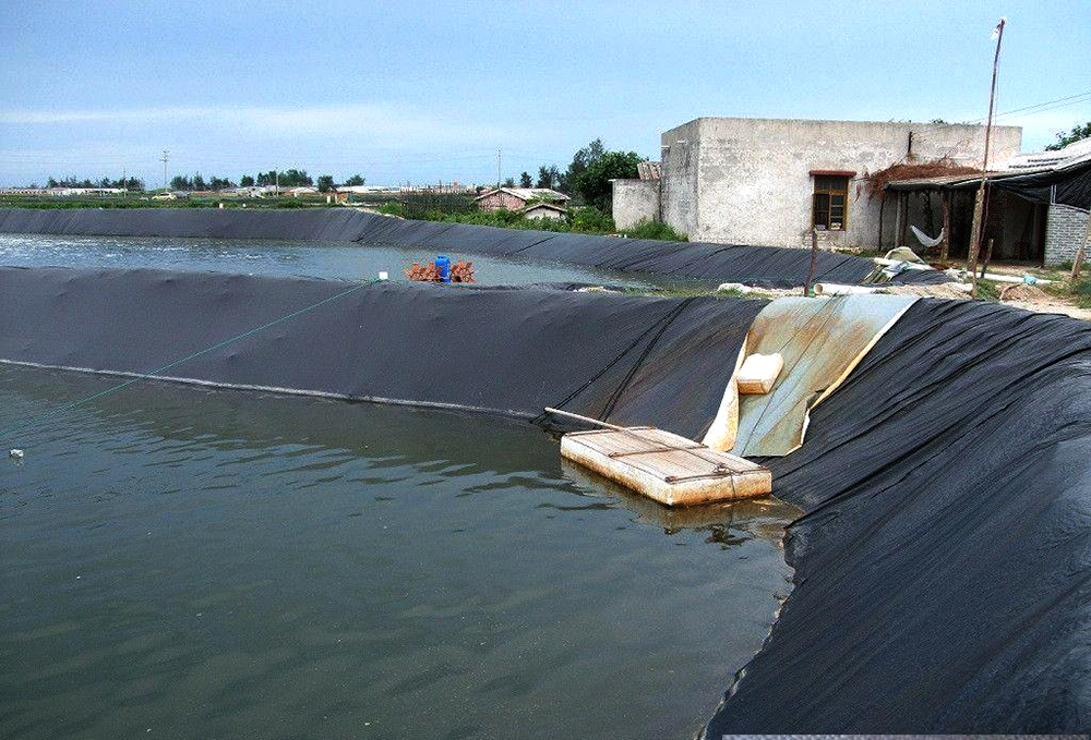 Geosynthetics PVC Geomembrane Liner Pond 150m Per Roll Textured Surface