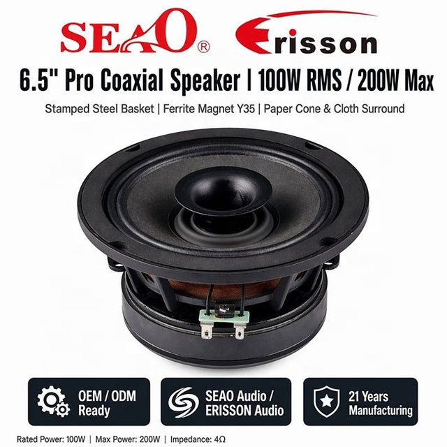 6.5 Inch Pro Coaxial Car Speaker 100W Ferrite Magnet Waterproof Paper Cone Cloth Surround OEM Customizable