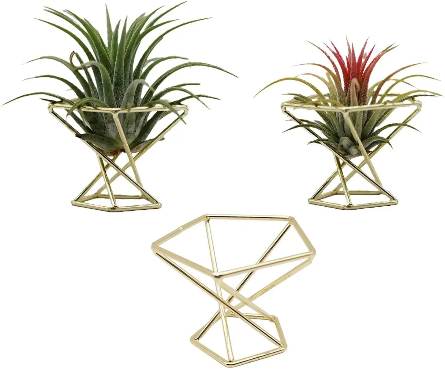 Suporte de plantas geométrico estilo nórdico, prateleira de plantas, suporte de metal, plantador para tillandsia