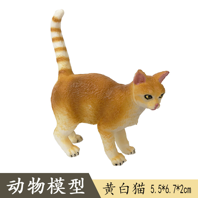 Gato amarillo y blanco