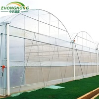 Système hydroponique de culture de roses, serre agricole avec structure en acier galvanisé