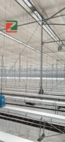 Serre en acier galvanisé à plusieurs travées avec film plastique PE pour la culture de tomates, concombres, poivrons et légumes