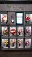 Máquina de Venta de Flores Frescas con Sistema de Refrigeración y Control de Humedad de Haloo Factory