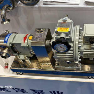 Pompe rotative en acier inoxydable Jinze Pump Industry 304, pompe à engrenages électrique pour le traitement des aliments et des produits chimiques - Product Image 2