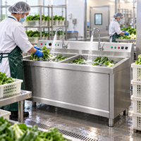 Lave-vaisselle et lave-légumes professionnel à double bac en acier inoxydable pour restaurant - Fabricant