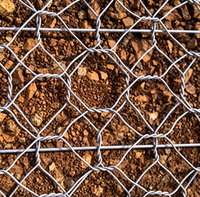 Rouleau de treillis métallique hexagonal à double torsion galvanisé à chaud pour la stabilisation des sols de jardin, la séparation des couches de base paysagères