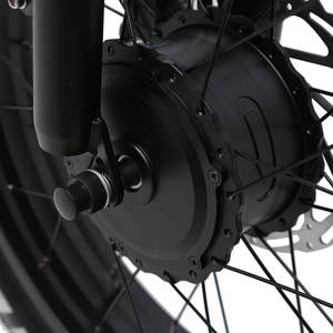 TXED, superventas, marco de aleación, Motor Ebike, 7 velocidades, 20 pulgadas, neumático ancho, 48V/500W, Motor de cubo dual, 20AH, batería de litio, motocicleta eléctrica - Product Image 6