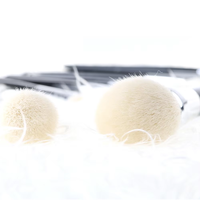 Nouvelle version pinceaux de maquillage pour le visage en poils de chèvre blancs ensemble de pinceaux de maquillage naturel végétalien 12 pièces pour fond de teint en poudre