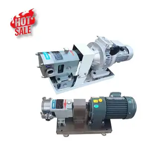Ace High Flow Rate Electric Water Oil Transfer Pump Lobe 20Hp Chemical Centrifugal Water Pumps Manufacturer