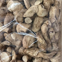 Detan pieds de Shiitake de Champignon d'usine de haute qualité/pieds de Lentinus Edodes/pieds de Champignon cuisse de Champignon 3-6cm