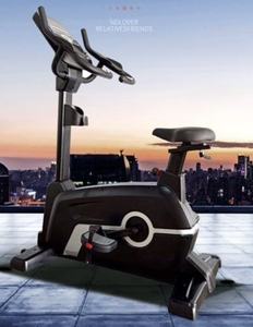 Bicicleta Estática Magnética Vertical al por Mayor, Directo de Fábrica, Bicicleta de Cardio para Gimnasio Interior, Bajo MOQ, OEM - Product Image 5