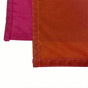 Bandera Impermeable de Poliéster de 3x5 pies con Diseño del Progreso del Orgullo Lésbico y Gay, con 2 Ojales de Latón, Logotipo Personalizado, Estilo Portátil para Colgar - Product Image 4