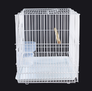 Extra grote vogelkooi papegaai huisdier groothandel grote buitenkooi goedkope smeedijzeren kanarievogelkooi kweekkooi grote kooi - Product Image 3