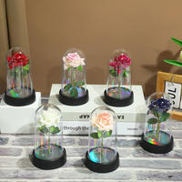 Cadeau pour la Saint-Valentin, rose éternelle colorée à LED, rose artificielle éternelle dans un dôme en plastique, cadeau