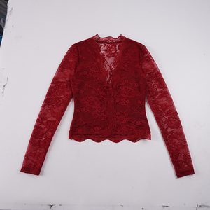 Blusa Elegante con Encaje y Transparencias, Top de Manga Larga con Cuello Atado y Detalles Transparentes, Prenda Elegante y Ajustada para Mujer - Product Image 3