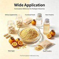 Extrait de fruit de Rosa Roxburghii de qualité cosmétique professionnelle, poudre botanique, matière première pour les formules de soins du visage et de lavage corporel
