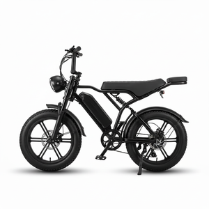 Vélo électrique 20 pouces pour adultes et adolescents, 250 watts, Ebike, stock UE, Europe, Royaume-Uni, homologué pour la route, pneus larges, batterie amovible - Product Image 1