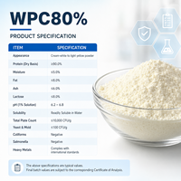 Concentré de protéines de lactosérum en vrac WPC 80% en poudre pour la nutrition sportive et la formulation alimentaire