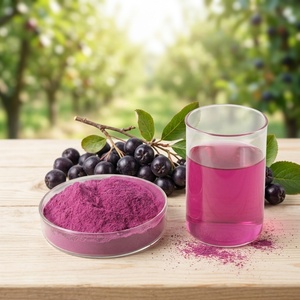 Polvo de <span class=keywords><strong>Aronia</strong></span> <span class=keywords><strong>Melanocarpa</strong></span> (Chokeberry Negro Natural) a Granel para Suplementos Nutricionales al por Mayor - Product Image 1