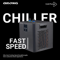 Qilong Usine Mini Refroidissement Par Eau Icebath Refroidisseur Machine Automatique Poissons Aquarium Affichage Réfrigération Refroidisseur Pompe Noyau