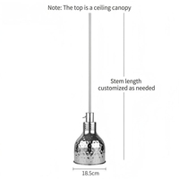 Lampe chauffante infrarouge rétractable pour aliments, chauffe-plats suspendu pour buffet, pizza, rôtis, usage commercial pour hôtels et restaurants
