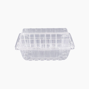 Clamshell Packing Punnet for Fruits Salad and Vegetables 500g