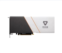 Moore Threads MTT S3000 32GB GPU untuk Komputasi AI, Inferensi, dan Model Besar
