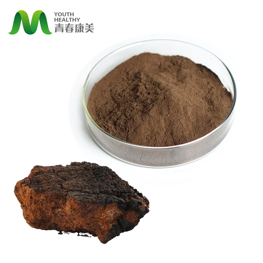 30:1 organique Chaga Extrait De Champignon Poudre Polysaccharides