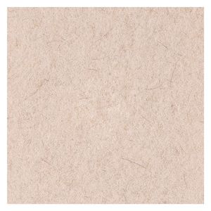 21 pouces. Tampons de polissage pour sols en poils de porc naturels, couleur bronzée, lot de 5 - Boardwalk BWK4021NHE - Product Image 3