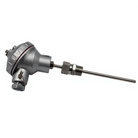 Sonde de température à fil mobile Rtd PT100 PT1000 PT 100, étanche, thermocouple