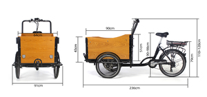 Vélo <span class=keywords><strong>cargo</strong></span> électrique <span class=keywords><strong>pour</strong></span> le transport de chiens, tricycle familial <span class=keywords><strong>pour</strong></span> adultes, Bakfiets - Product Image 3