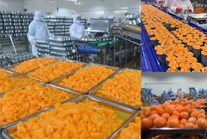 Produktionslinie für verstärkte Nudeln für Rindfleischbestand einschließlich Karotten Kartoffeln grüne Bohnen Mais für die Verpackung von Konserven - Product Image 3