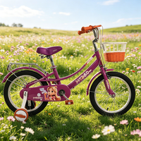 Vélo pour enfants avec cadre en acier, peinture thermolaquée, autocollant extérieur, freins à étrier, jantes en alliage, protège-chaîne, garde-boue et roues d'apprentissage silencieuses