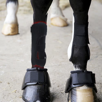 Coussin LED personnalisé pour thérapie par lumière rouge pour les bottes de cheval, certifié 660 nm, sans fil, rechargeable, ceinture infrarouge pour animaux