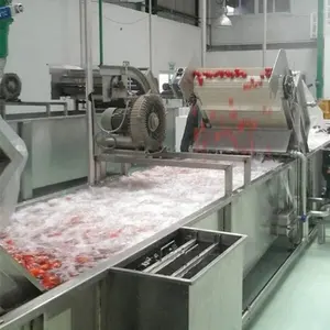 Automatische Hoge Kwaliteit Tomatenpuree Tomatensaus Tomaat Ketchup Productie Lijn Apparatuur Machines