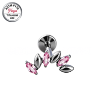 G23 ASTM-F136 Titanium Horse Eye Zircon Ear Stud Piercing Earrings Tragus Helix Daith Lobe Flat Back Lip Labret Piercing Jewelry