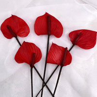Bunga Anthurium Flamingo Lily Awet Bentuk Hati Berbagai Warna, Buket Alami Kering Abadi untuk Hari Valentine