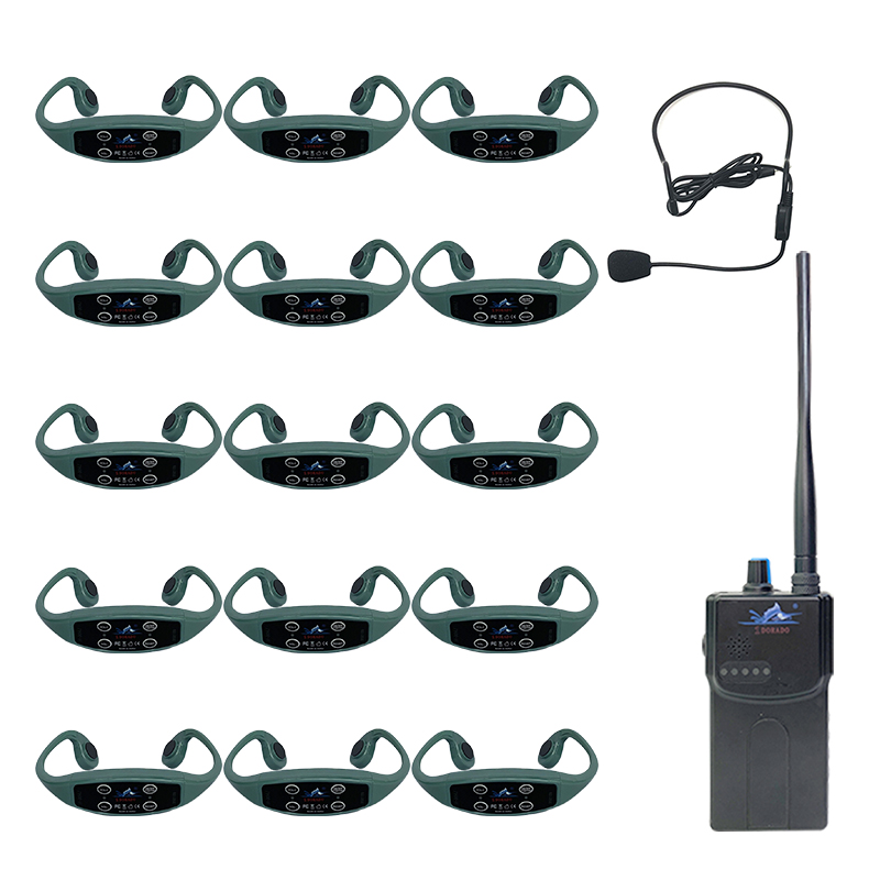 1 trasmettitore H900 + 15 H904 verde