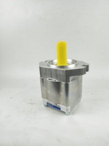 Bomba Hidráulica Eckerle, Bomba de Aceite EIPC5-064/80/100RK/RA/LK30-10, Bomba de Engranajes para Máquina de Moldeo por Inyección - Product Image 2