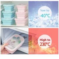 Boîte à lunch pliable en silicone pour enfants, pour les étudiants, 5 pièces