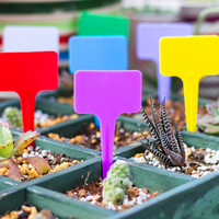 Étiquette colorée en forme de coeur de marque d'usine de jardin du plastique pp/étiquette moulée colorée d'étiquette de nom d'usine