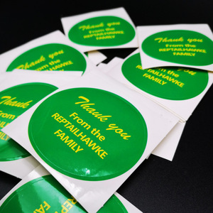 Etiquetas Adhesivas Personalizadas Impresas en Serigrafía, Holográficas, Láser, Metálicas Plateadas Brillantes, Resistentes al Agua, para Cascos de Seguridad - Product Image 5