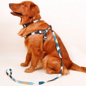 HIPHOPPET Set tali pengikat kerah anjing, nilon mewah antikeluar tanpa tarikan dapat disesuaikan tahan lama untuk desain pemblokiran warna luar ruangan - Product Image 4