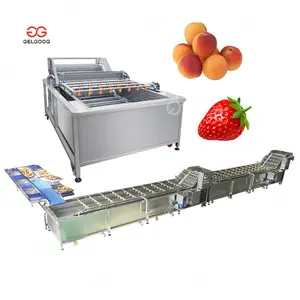 Apricot Processing and Washing Machine Melon Wash Strawberry Clean and Freeze Line