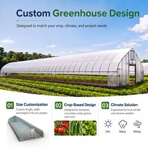 Serre agricole à simple travée renforcée avec ventilation latérale manuelle à enroulement pour pépinière de semis - Product Image 2