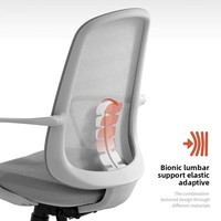 Hera Confortable Home Study Siège de conférence pivotant Design moderne Chaise de bureau ergonomique avec maille en tissu pour le travail sédentaire
