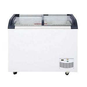 Congélateur vitrine à porte plate à température unique de 273 L pour DDH-310W4 - Product Image 1
