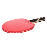 Huiyi — raquette de tennis de table professionnelle, ensemble de ping-pong de haute qualité, niveau d'entrée
